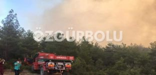 ORMANLIK ALAN ALEV ALEV YANIYOR