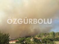 ORMANLIK ALAN ALEV ALEV YANIYOR