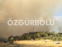 ORMANLIK ALAN ALEV ALEV YANIYOR