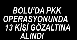 PKK OPERASYONUNDA 13 KİŞİ GÖZALTINDA