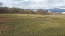 REKTÖR ALİŞARLI STADYUMLA İLGİLİ KONUŞTU