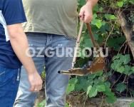 SOKAK ORTASINDA DEHŞET