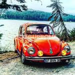 VOSVOS SEVDALILARI NARVEN'DE BULUŞTU