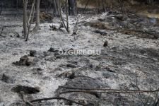 YANGINDA DEV BİR EKİP ÇALIŞTI