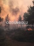 YANGININ ÇIKIŞ NEDENİ BELLİ OLDU