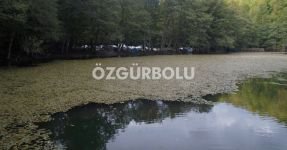 BOLU'NUN CENNET MEKANI 4 MEVSİM BÜYÜLÜYOR