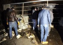 YÜZLERCESİ YOLA SAVRULDU...