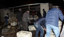 YÜZLERCESİ YOLA SAVRULDU...