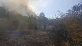 5 DÖNÜM ARAZİ KÜLE DÖNDÜ