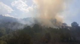 5 DÖNÜM ARAZİ KÜLE DÖNDÜ