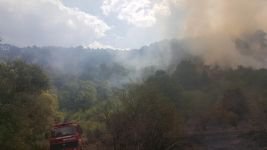 5 DÖNÜM ARAZİ KÜLE DÖNDÜ