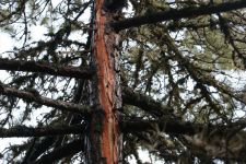 500 METREKARELİK ALAN YANDI