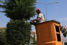 9 BİN 600 YENİ AĞAÇ DİKİLDİ