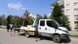 9 BİN 600 YENİ AĞAÇ DİKİLDİ