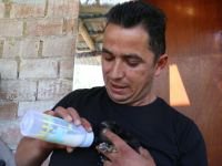 9 KÖPEK YAVRUSUNA SAHİP ÇIKTI