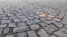 ABANT'I KURBAĞALAR BASTI