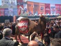 AÇIK ARTIRMAYLA 60 BİN TL'YE SATILDI