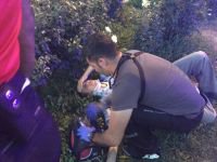 AĞAÇLARA ÇARPTILAR