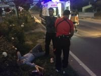 AĞAÇLARA ÇARPTILAR