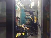 AĞAÇLARA ÇARPTILAR