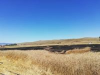 ANIZ YANGININDAN SON ANDA KURTARILDI