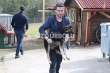 ARALARINDA PİTBULL BİLE VAR...