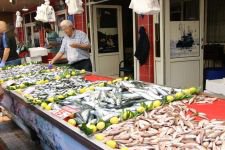 “BALIKLARI ALMAK İÇİN ACELE EDİNİZ”