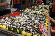 “BALIKLARI ALMAK İÇİN ACELE EDİNİZ”