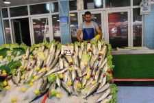 “BALIKLARI ALMAK İÇİN ACELE EDİNİZ”