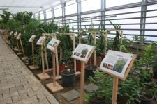 BELEDİYENİN SERASI BÜYÜK İLGİ GÖRÜYOR