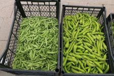 BELEDİYENİN ÜRÜNLERİ SATIŞA ÇIKTI