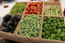 BELEDİYENİN ÜRÜNLERİ SATIŞA ÇIKTI