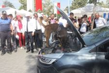 BOLU BAĞIMLILIK İLE MÜCADELE İÇİN EL ELE VERDİ