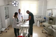 HAYVAN DOSTU BOLU BELEDİYESİ...