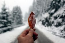 BOLU'NUN DÖRT BİR YANI BEMBEYAZ