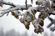 BOLU'NUN DÖRT BİR YANI BEMBEYAZ