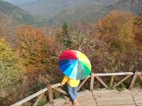 TABİAT PARKLARINA TURİST AKINI...