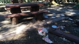 BU KADAR SORUMSUZLUK OLMAZ...