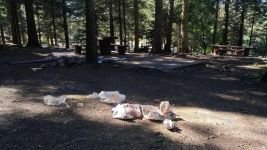 BU KADAR SORUMSUZLUK OLMAZ...