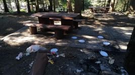 BU KADAR SORUMSUZLUK OLMAZ...