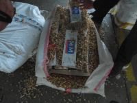 BULDUKLARI HER DELİĞE SOKMUŞLAR