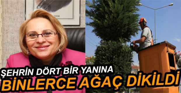 9 BİN 600 YENİ AĞAÇ DİKİLDİ