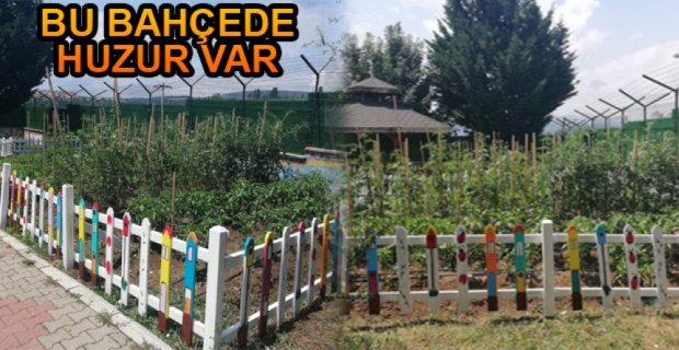 HASTALAR, BU BAHÇEDE TEDAVİ OLUYOR
