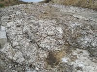 ÇEVRE KİRLİLİĞİ TEHDİDİ