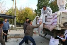 ÇİFTÇİLERE IZA BUĞDAYI DAĞITILDI