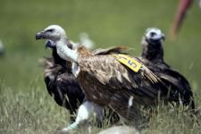 DÜNYA'NIN HER YERİNDEN ZİYARETÇİSİ VAR