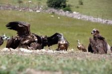 DÜNYA'NIN HER YERİNDEN ZİYARETÇİSİ VAR