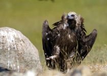 DÜNYA'NIN HER YERİNDEN ZİYARETÇİSİ VAR