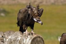 DÜNYA'NIN HER YERİNDEN ZİYARETÇİSİ VAR