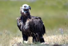 DÜNYA'NIN HER YERİNDEN ZİYARETÇİSİ VAR